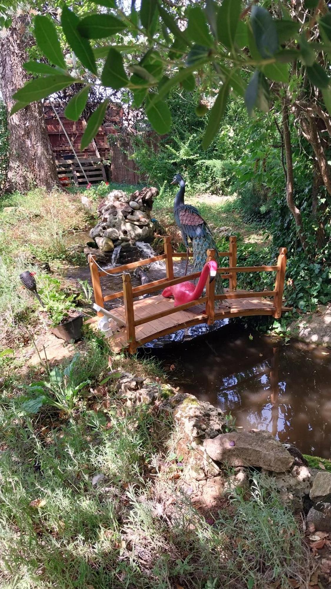 Bed and Breakfast L'Amarre Aux Anges Cormatin Exterior foto